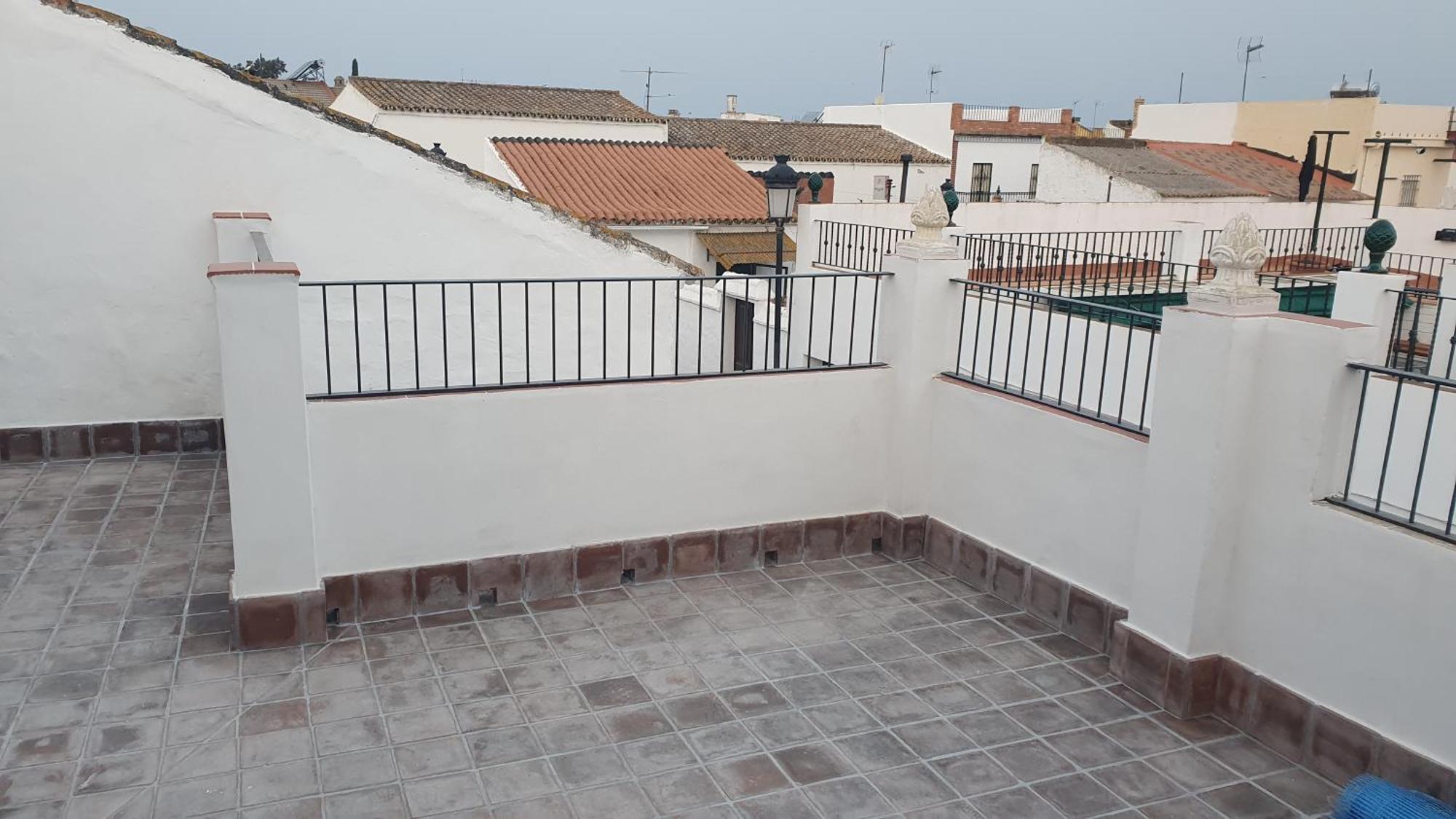 Gaviota Valencina de la Concepción